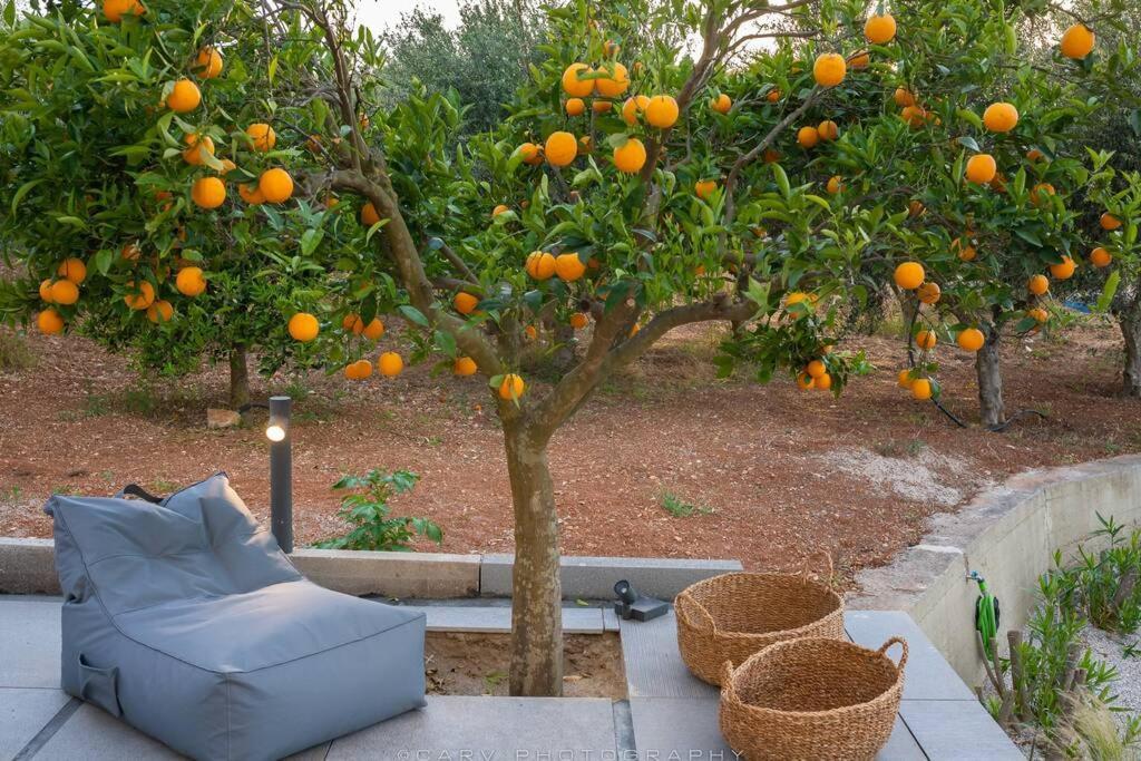 Orange Tree Villa Porto Heli Exteriör bild